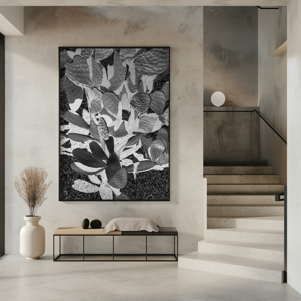 Cacti Cowboy No2 Poster